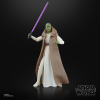 STAR WARS The Black Series Jedi Master Vernestra Rwoh